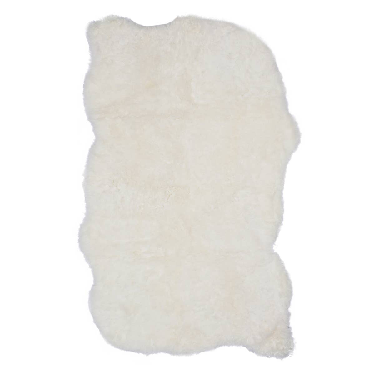 Icelandic Sheep: Single Shorn