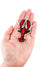 Lobster Embroidered Iron on Patch Beach Marine Life Nature