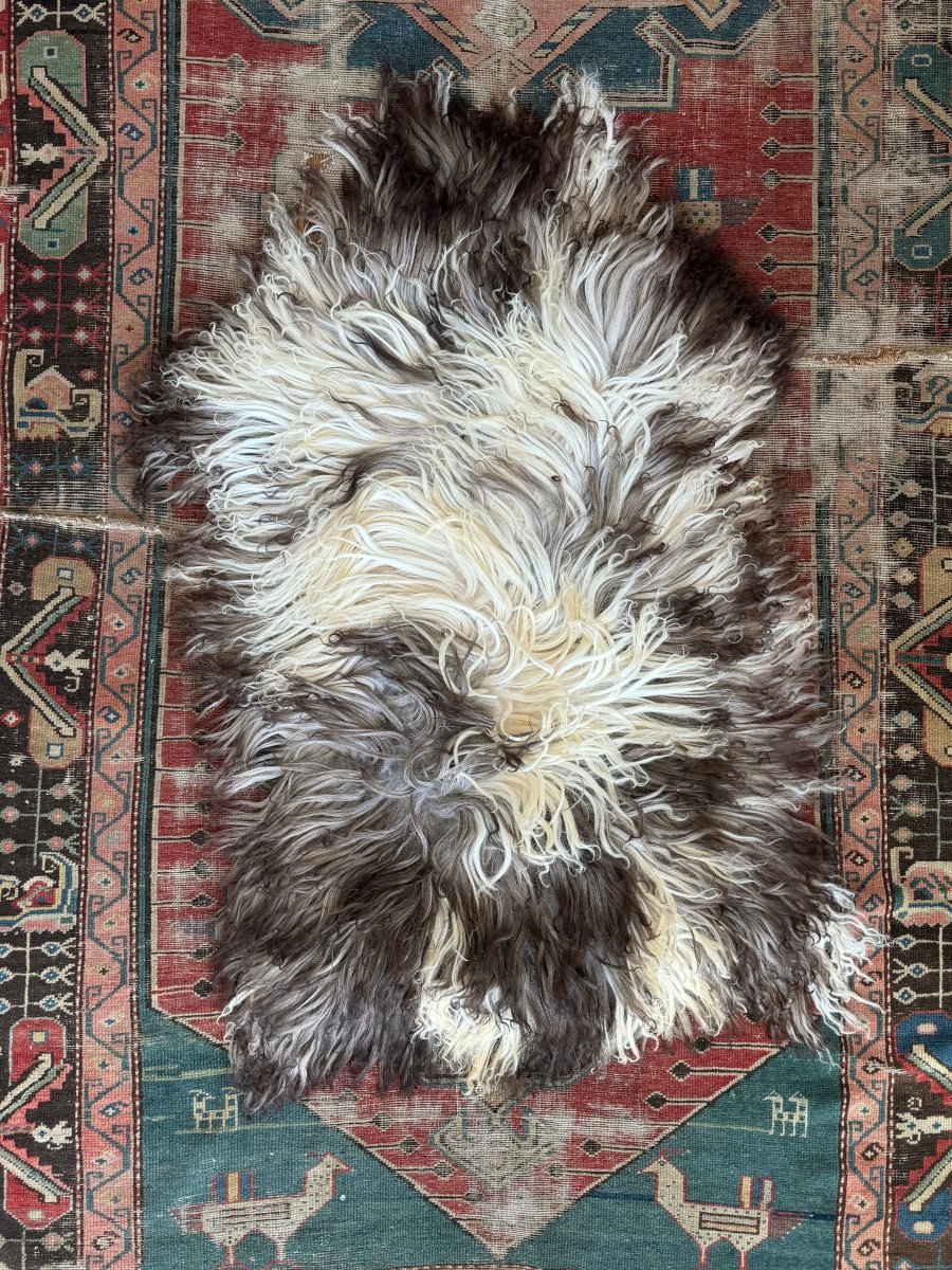 Curlcoat Sheep Skin - Diamonds & Rust