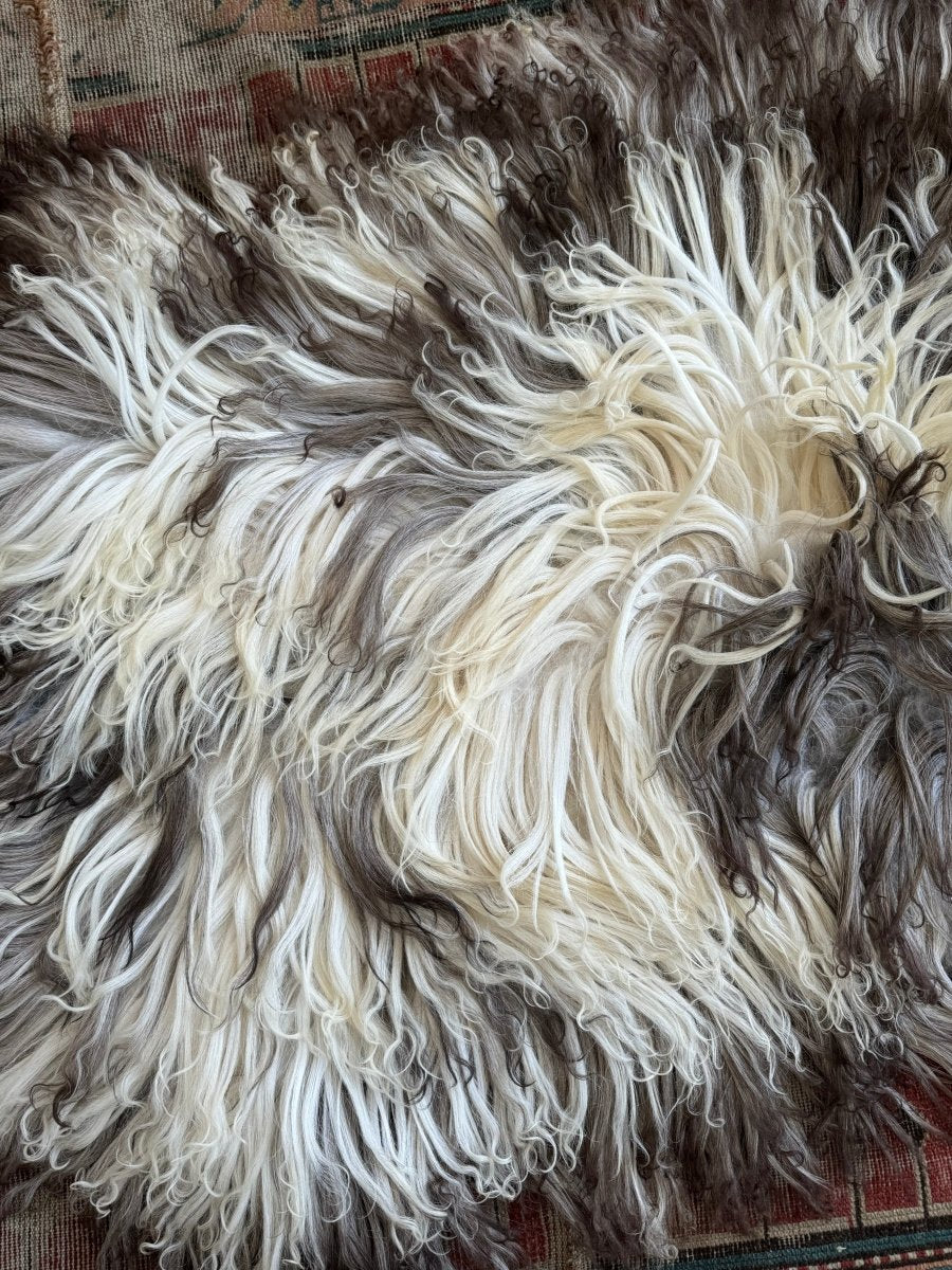Curlcoat Sheep Skin - Diamonds & Rust