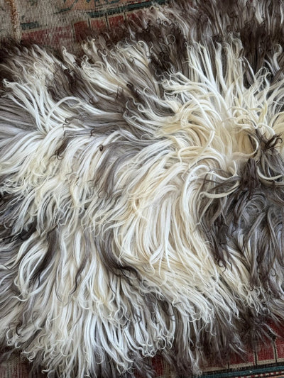 Curlcoat Sheep Skin - Diamonds & Rust