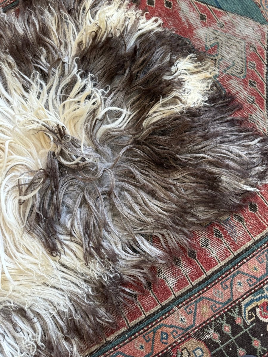 Curlcoat Sheep Skin - Diamonds & Rust