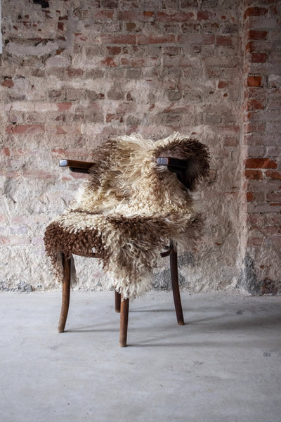 Curly Austrian Sheepskin | Natural Multi-tone | 105x60 cm - Diamonds & Rust