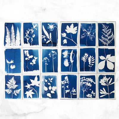 Cyanotype Kit – DIY - Diamonds & Rust