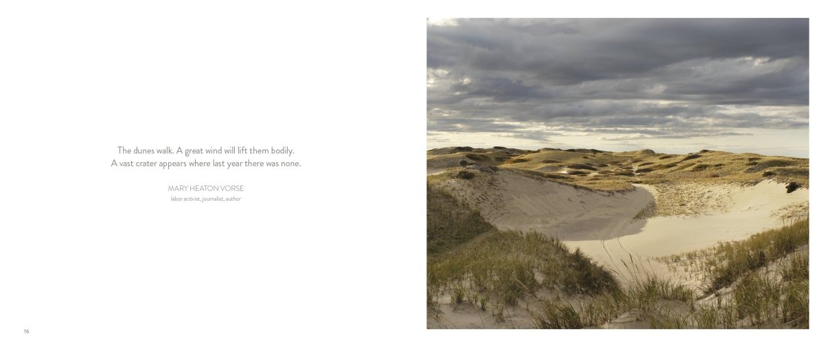 Dune Shacks of Provincetown - Diamonds & Rust