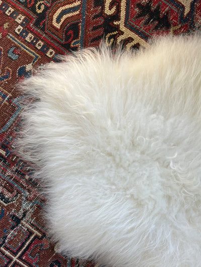 Icelandic Sheep Skin - White - Diamonds & Rust