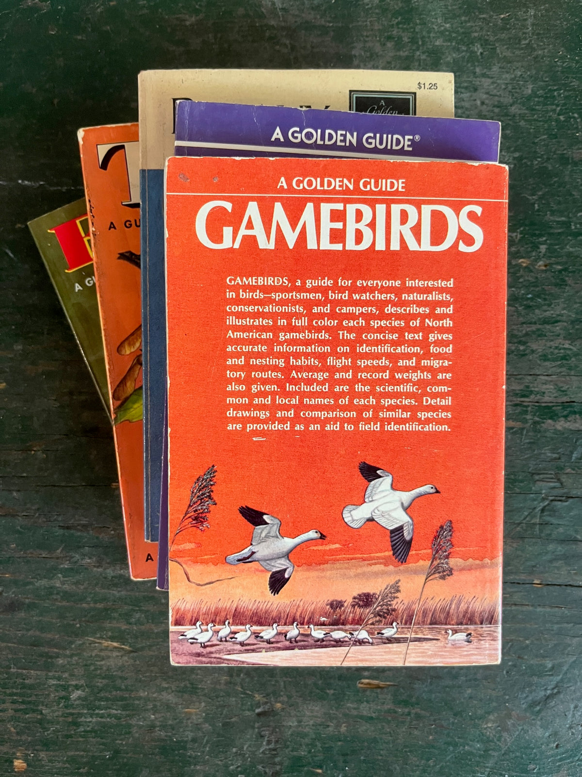 A Golden Guide Book - Game Birds