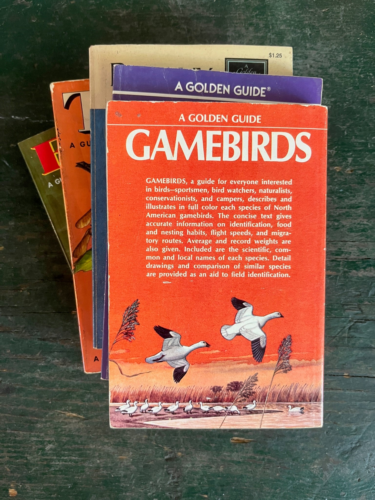 A Golden Guide Book - Game Birds - Diamonds & Rust