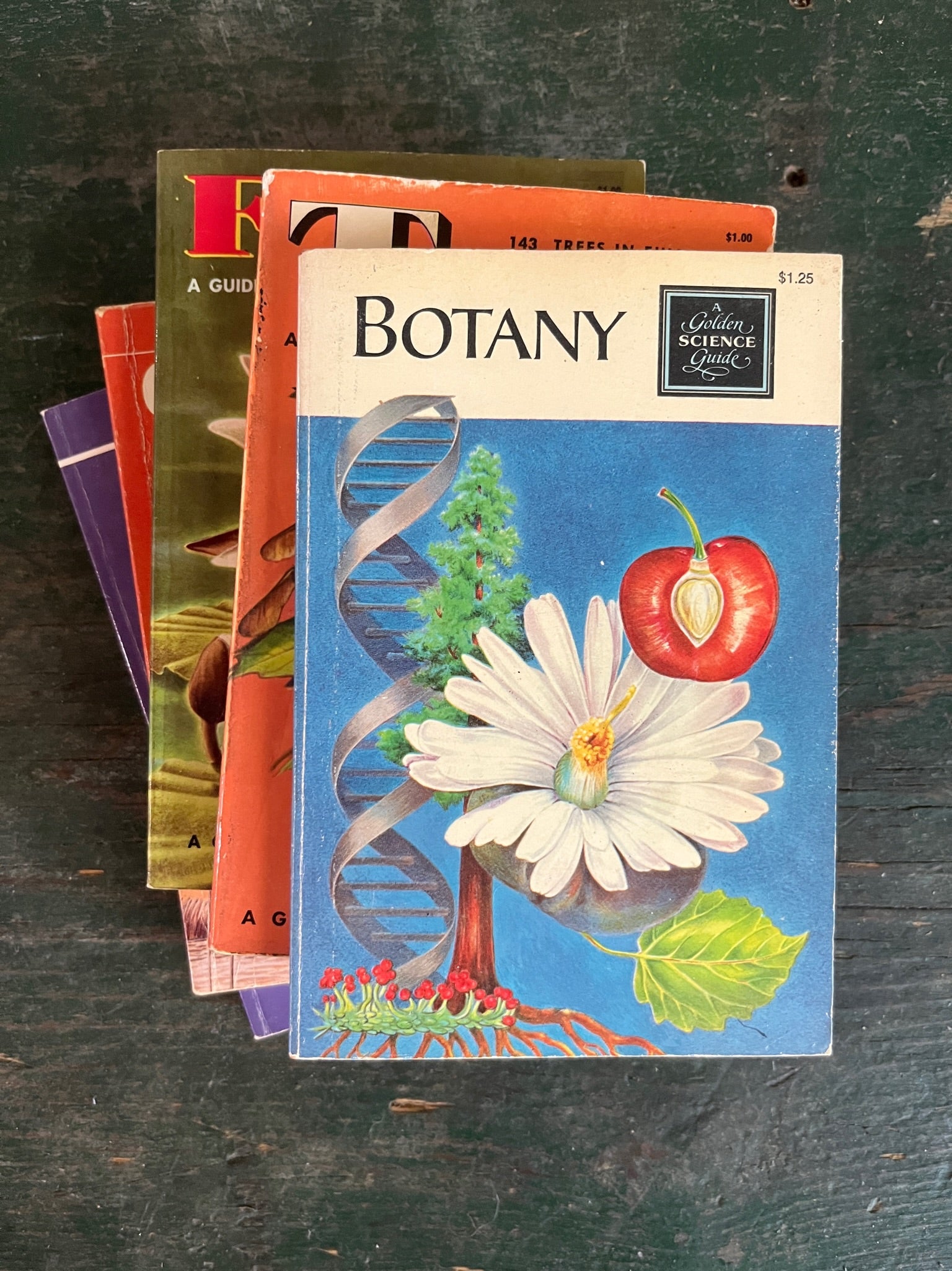 A Golden Guide Book - Botany