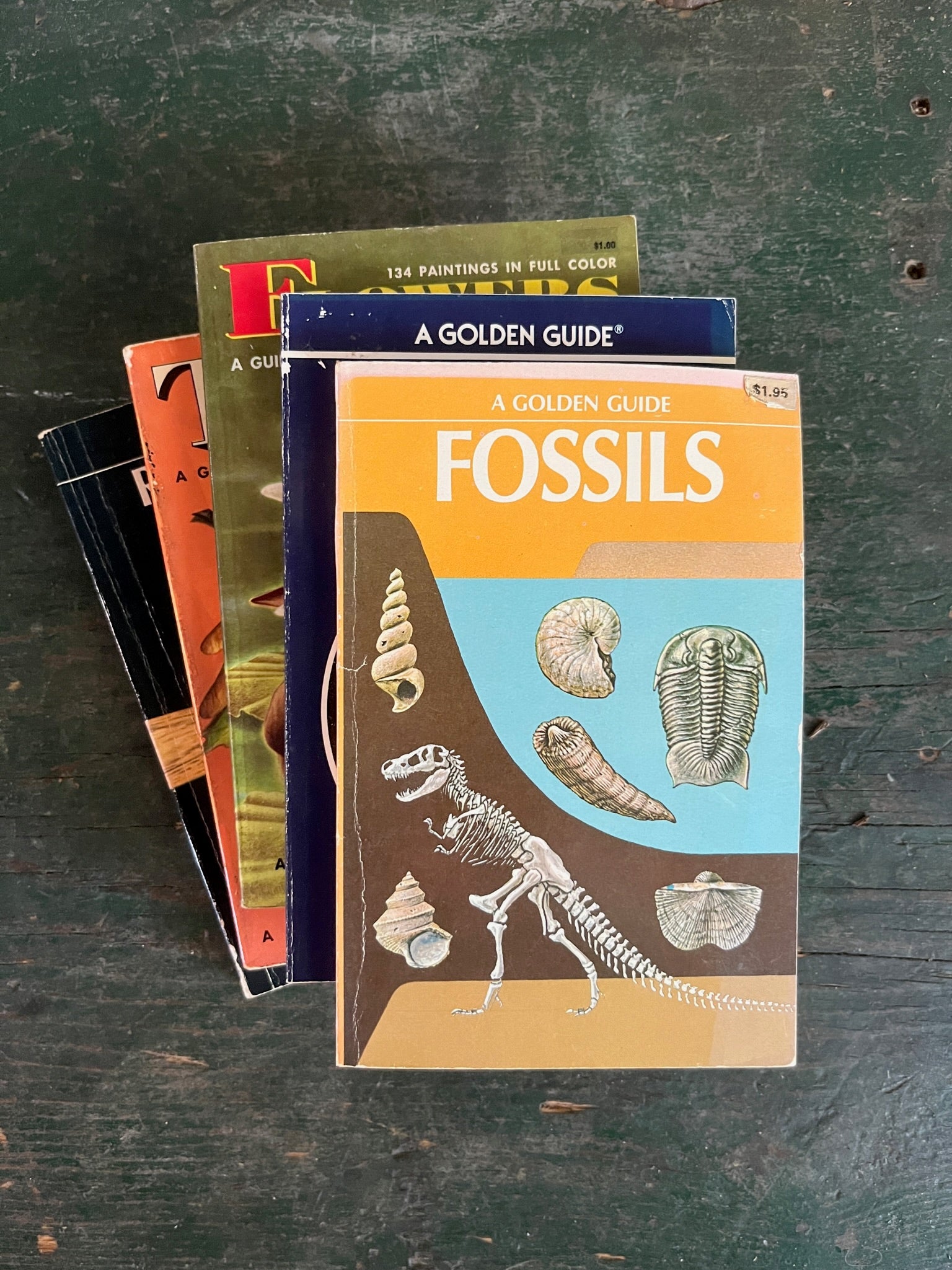 A Golden Guide Book - Fossils