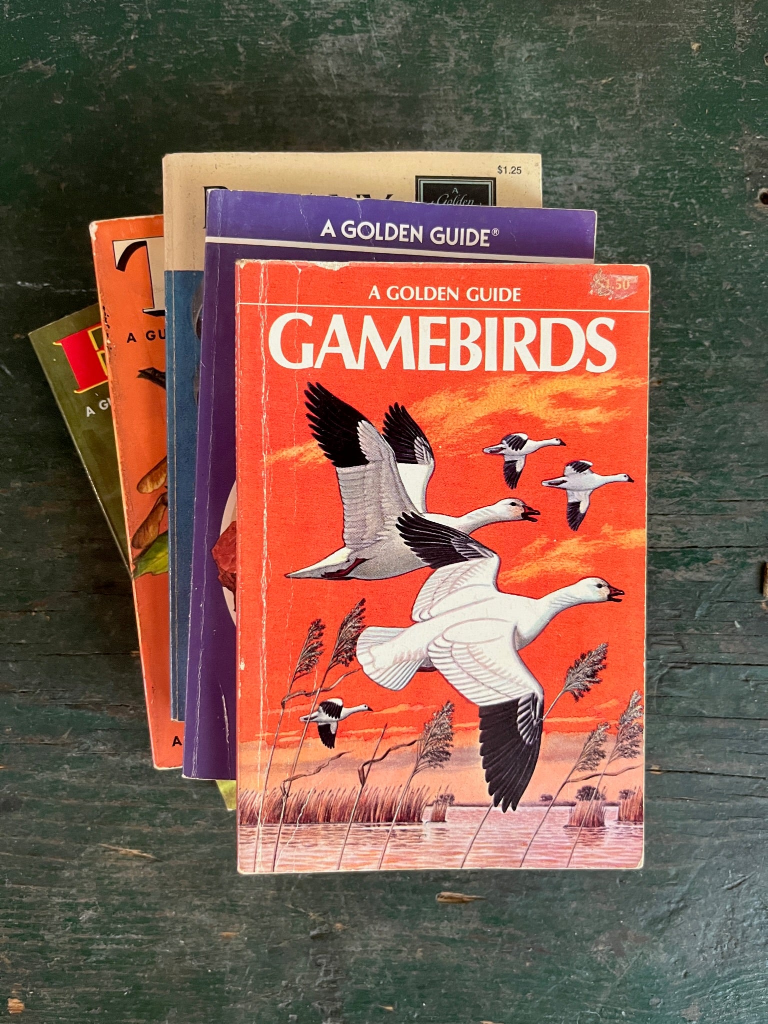 A Golden Guide Book - Game Birds - Diamonds & Rust