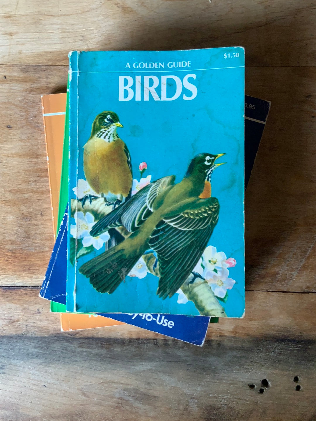 1956 A Golden Guide - Birds