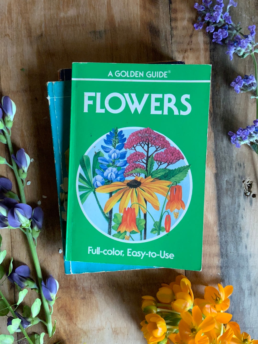 1987 A Golden Guide - Flowers