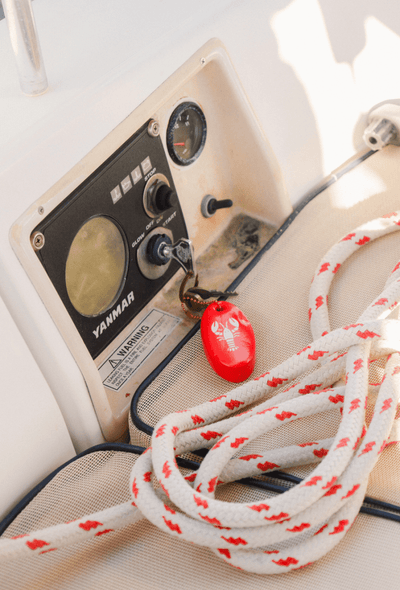 Lobster Floating Keychain - Diamonds & Rust