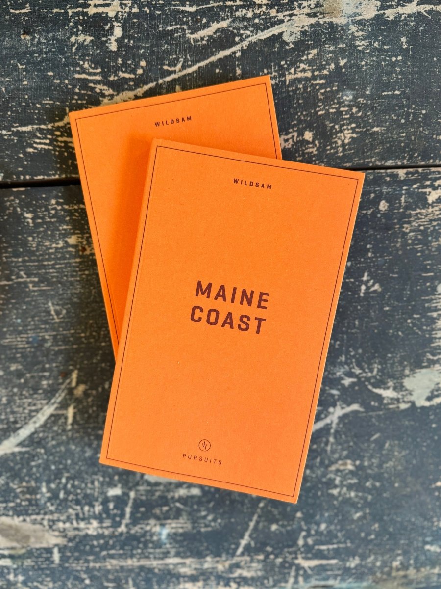 Maine Coast Field Guide - Diamonds & Rust