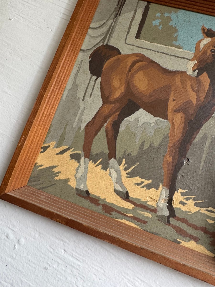 Paint By Numbers Horse - Brown Pony Tail - Diamonds & Rust