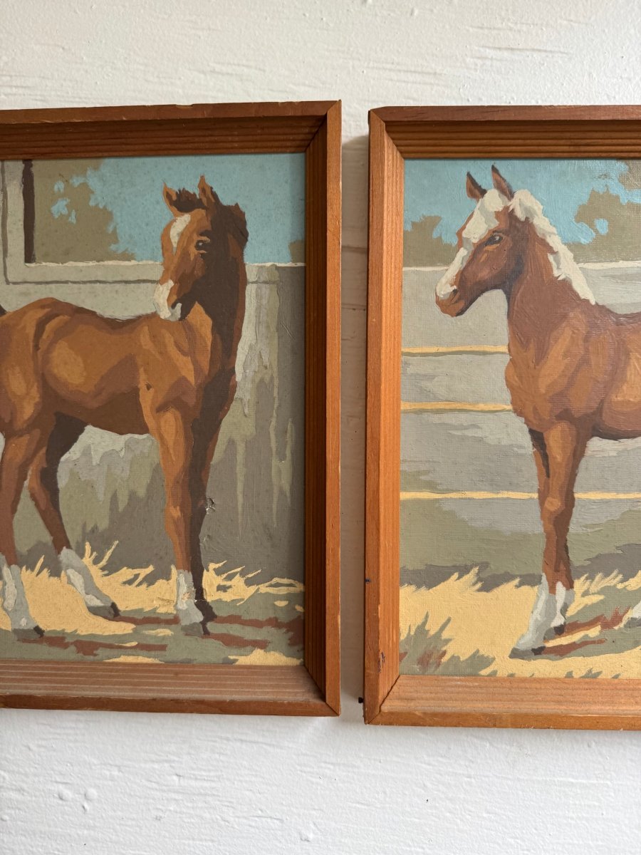 Paint By Numbers Horse - Brown Pony Tail - Diamonds & Rust