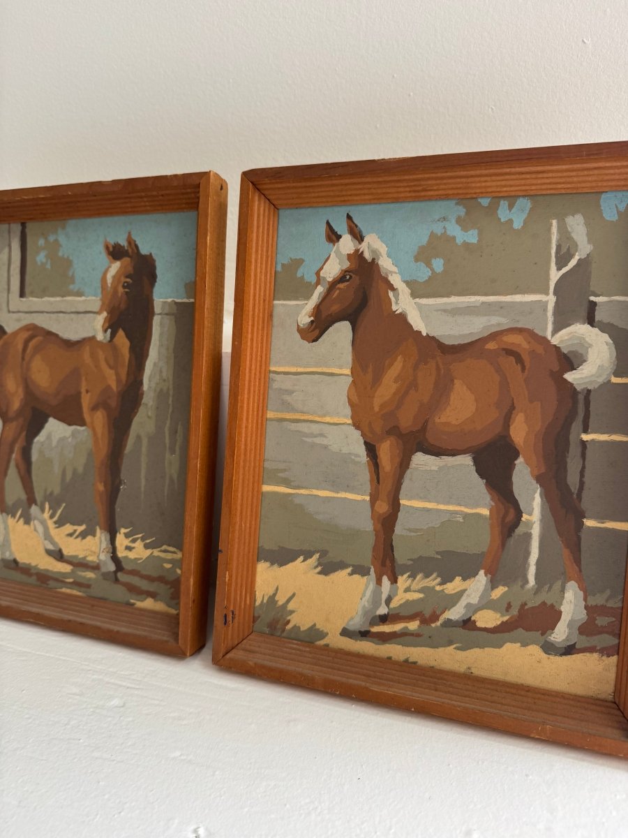 Paint By Numbers Horse - White Pony Tail - Diamonds & Rust