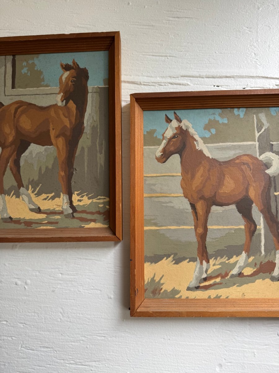 Paint By Numbers Horse - White Pony Tail - Diamonds & Rust