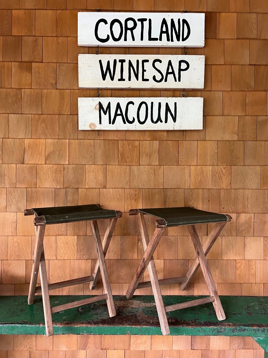 Pair of Vintage Camp Stools - Diamonds & Rust