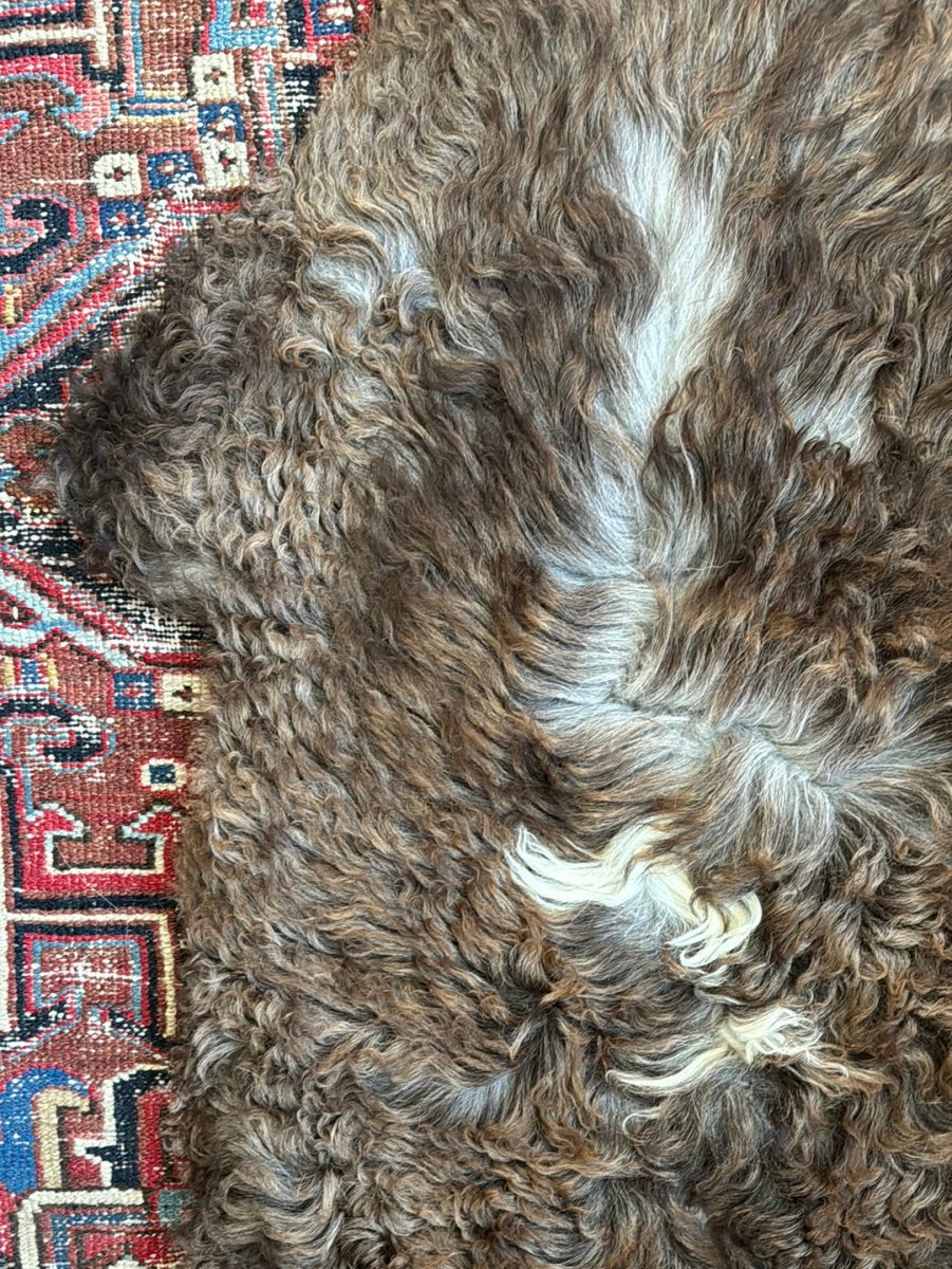 Sheep Skin - Brown + White - Diamonds & Rust