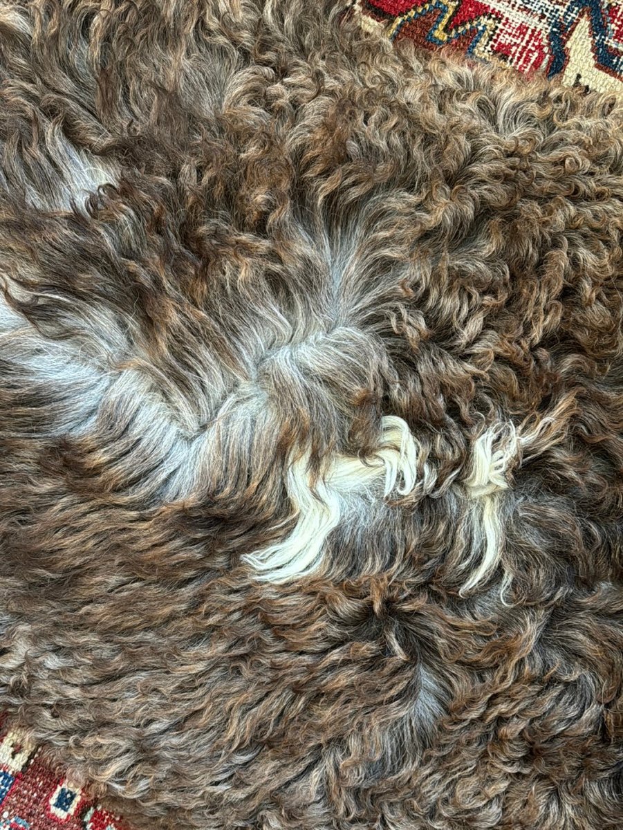 Sheep Skin - Brown + White - Diamonds & Rust
