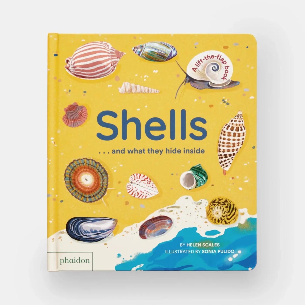 Shells... And What They Hide Inside - Diamonds & Rust