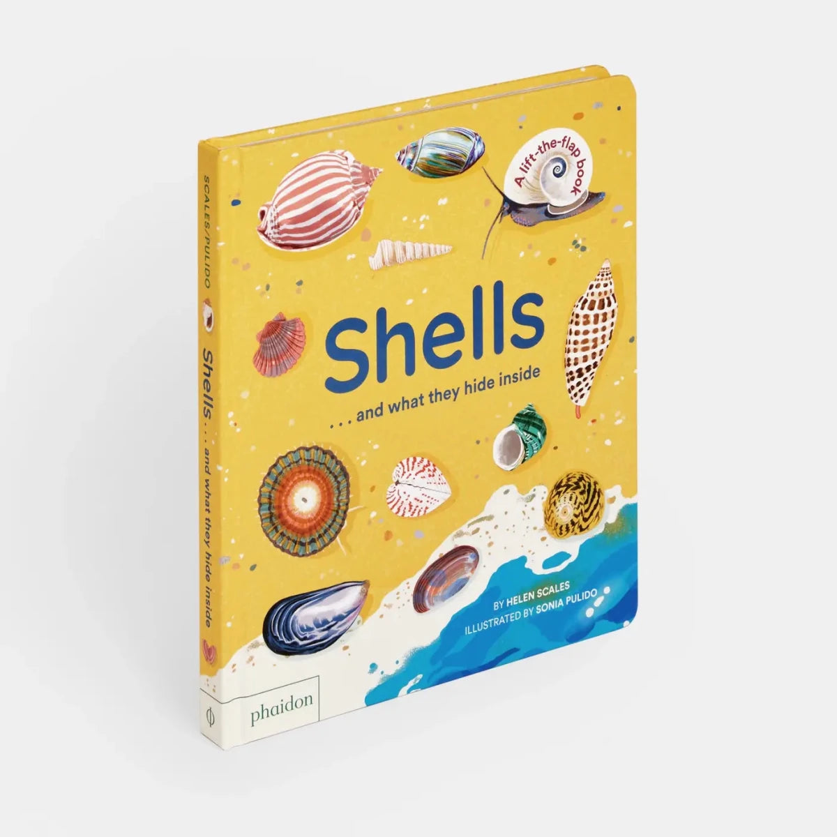 Shells... And What They Hide Inside - Diamonds & Rust
