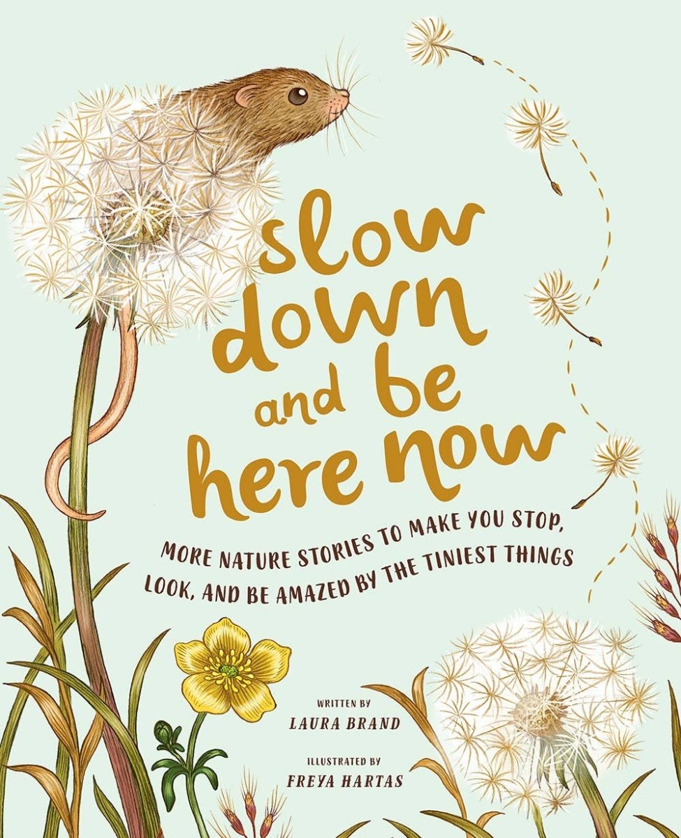 Slow Down and Be Here Now - Diamonds & Rust