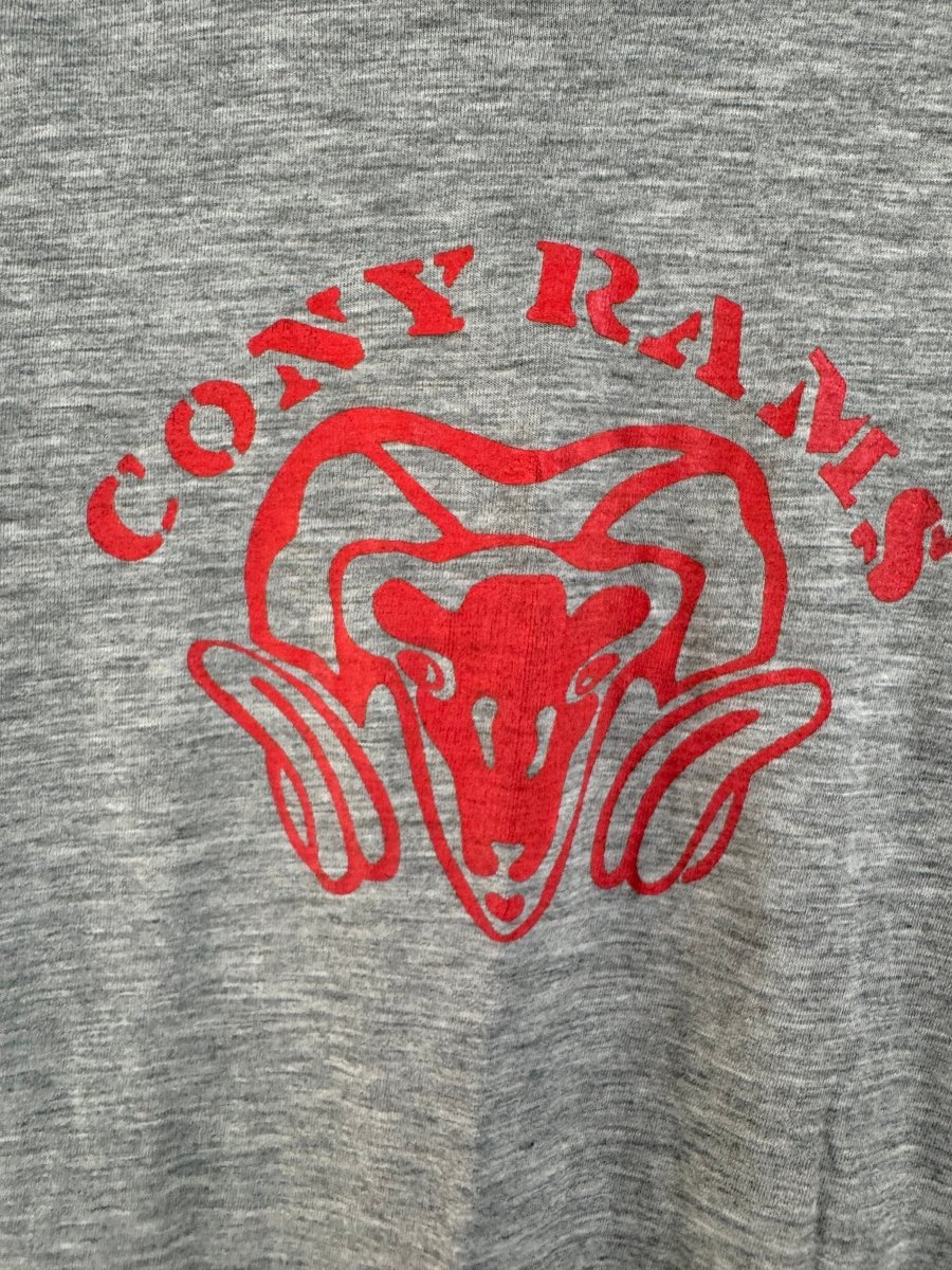 Vintage 80s Cony Rams Ringer Tee Shirt - Diamonds & Rust