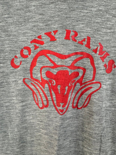 Vintage 80s Cony Rams Ringer Tee Shirt - Diamonds & Rust