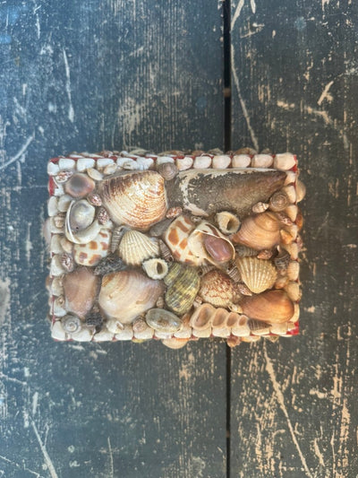Vintage Encrusted Shell Box Art - 2 - Diamonds & Rust