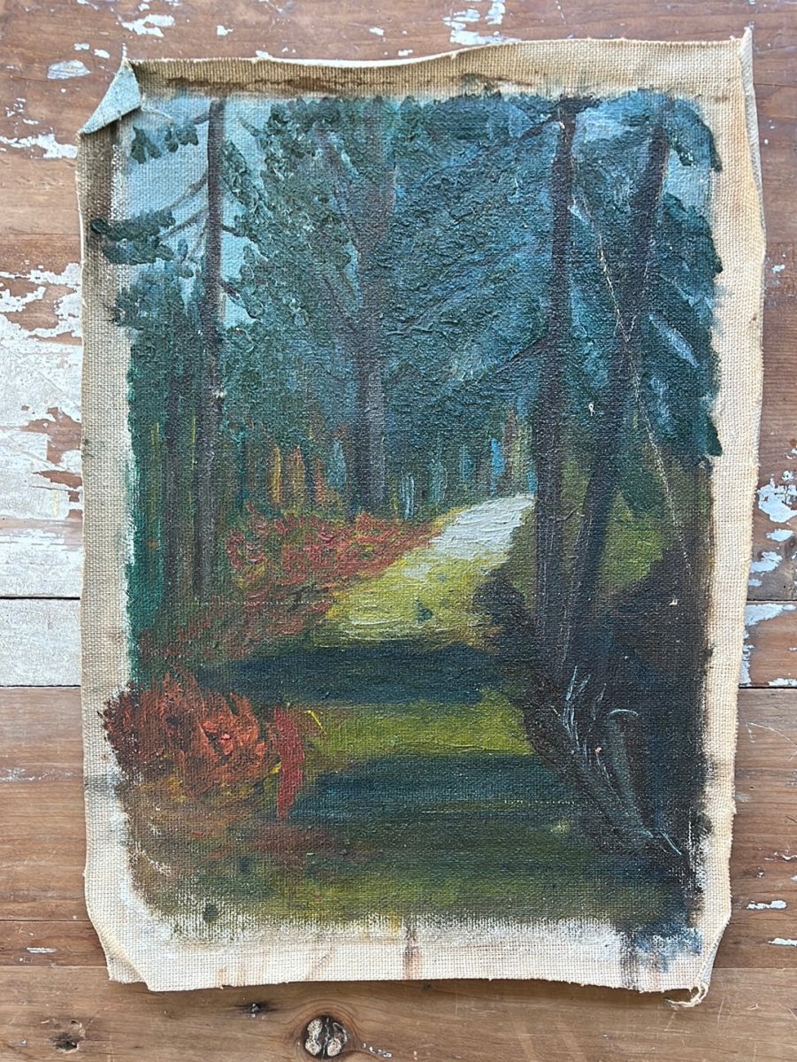 Vintage Forrest Trail Canvas Painting - Diamonds & Rust