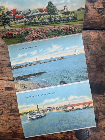 Vintage Oak Bluffs, Mass. Post Cards - Diamonds & Rust