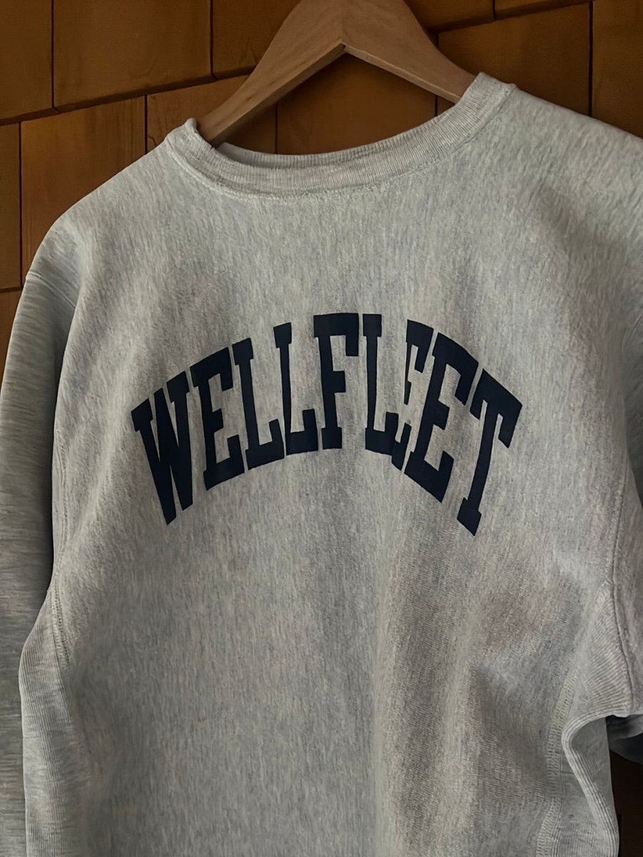 Vintage WELLFLEET Reverse Weave Champion Sweatshirt - Diamonds & Rust