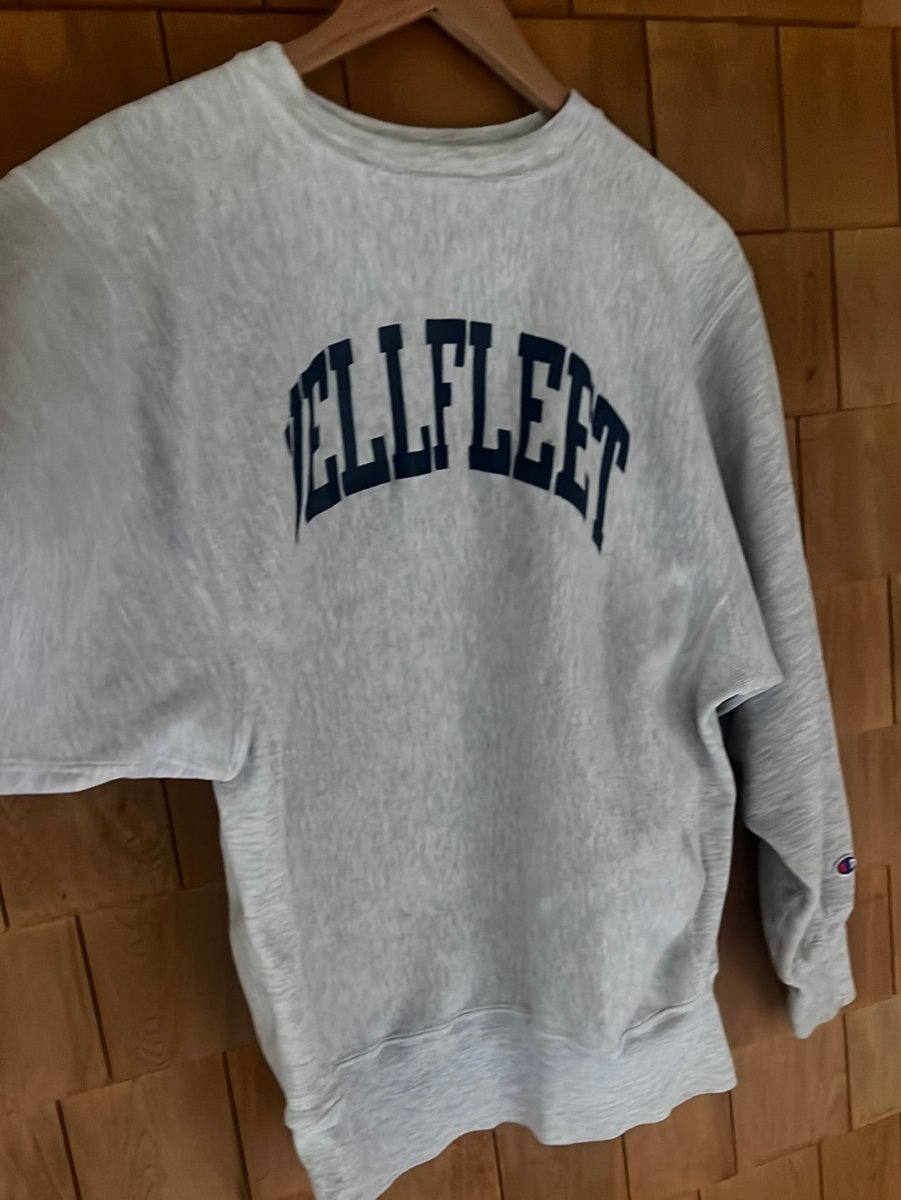Vintage WELLFLEET Reverse Weave Champion Sweatshirt - Diamonds & Rust