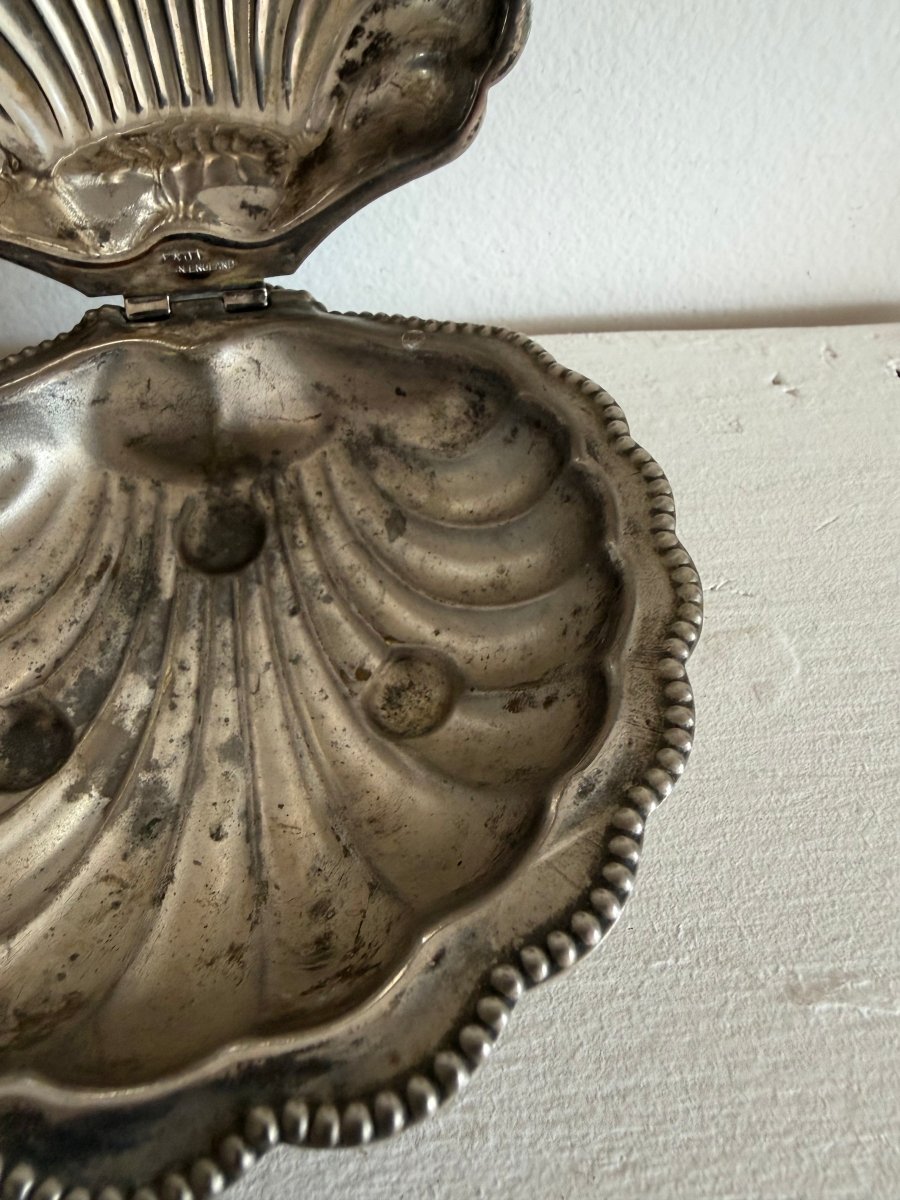 VTG Silver Plated Clam Shell - Diamonds & Rust