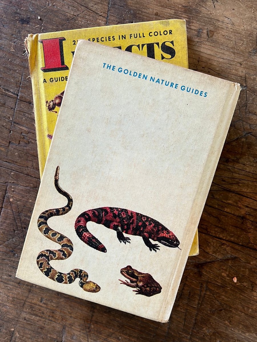 1953 A Golden Guide - Reptiles & Amphibians - Hardcover - Diamonds & Rust