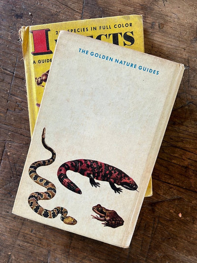1953 A Golden Guide - Reptiles & Amphibians - Hardcover - Diamonds & Rust
