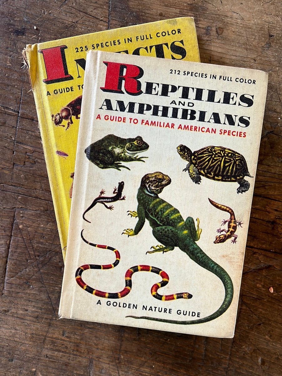 1953 A Golden Guide - Reptiles & Amphibians - Hardcover - Diamonds & Rust