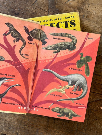 1953 A Golden Guide - Reptiles & Amphibians - Hardcover - Diamonds & Rust