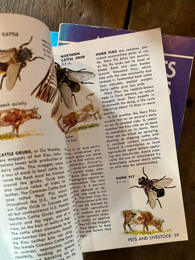 1966 A Golden Guide - Insect Pests - Diamonds & Rust