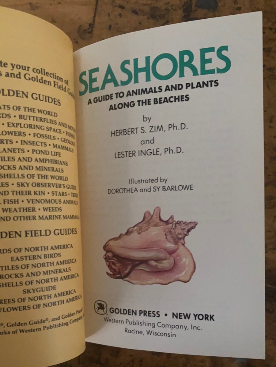 1987 A Golden Guide - Seashores - Diamonds & Rust