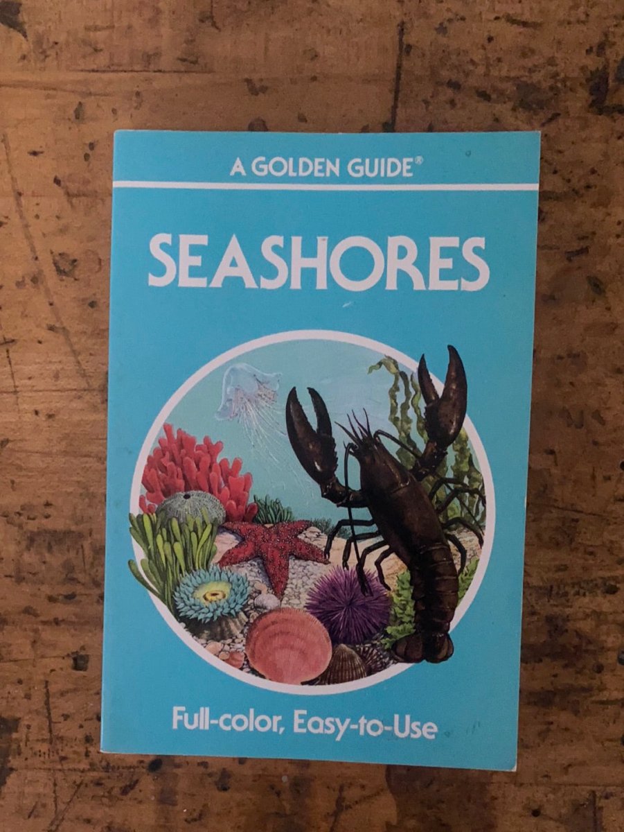 1987 A Golden Guide - Seashores - Diamonds & Rust