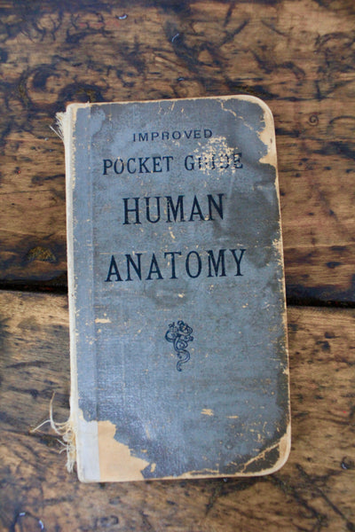 Pocket Guide: Human Anatomy - Diamonds & Rust