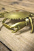 Vintage Brass Crab Ashtray