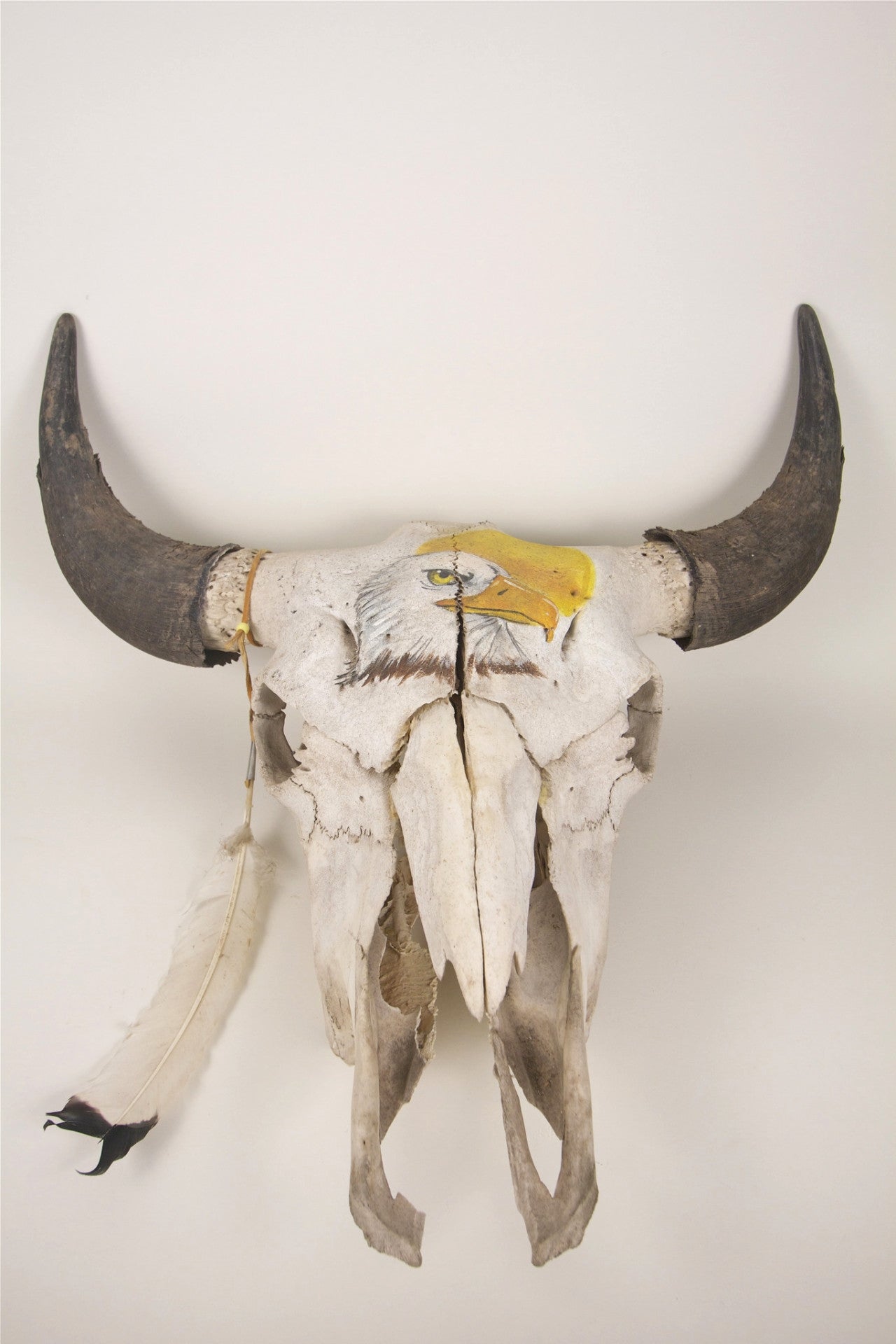 Antique Buffalo Skull
