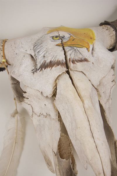 Antique Buffalo Skull