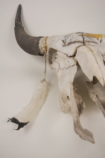 Antique Buffalo Skull
