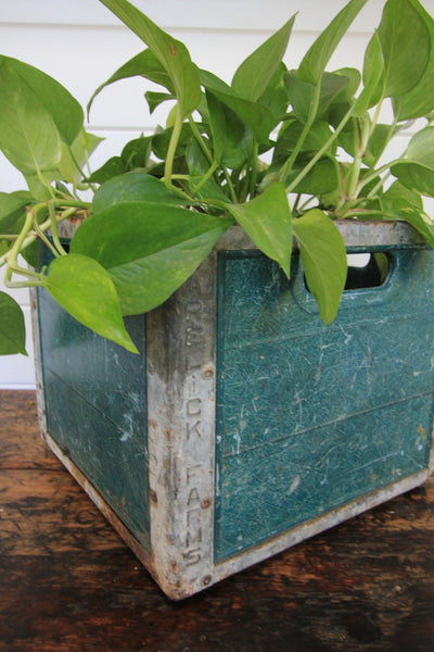Vintage Garelick Farms Milk Crate - Diamonds & Rust